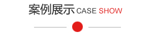 成功案例